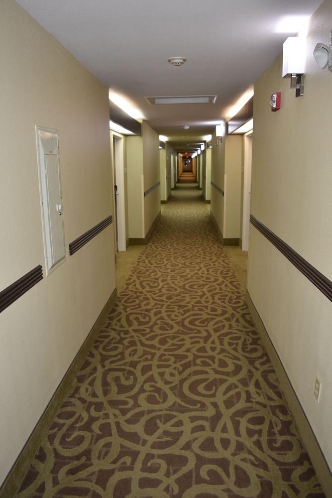 เบย์มอนต์ บาย วินด์แฮม ดัลลัส/เลิฟฟิลด์ Hotel ภายนอก รูปภาพ