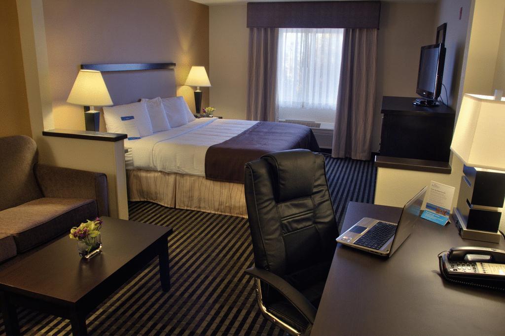 เบย์มอนต์ บาย วินด์แฮม ดัลลัส/เลิฟฟิลด์ Hotel ห้อง รูปภาพ